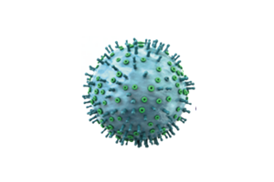 Mutaties en recombinaties van virussen om rekening mee te houden | Deel 2/4 over PRRS